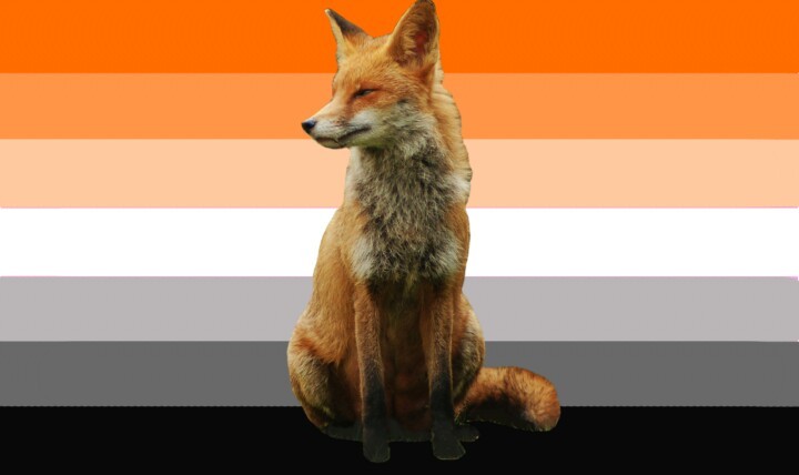 Red fox lesbian