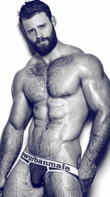 furrrybear:  talesofthealpha: For when you want to be sure you’re inside a man, and not just a pussy. PLEASE SUBMIT YOUR PICS FOR ME TO POST                                            &amp; LIKE, REBLOG  &amp; Follow Me ~ FOR