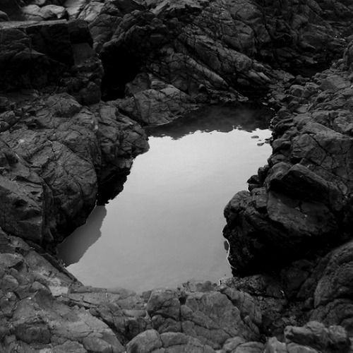notsolstice:you could know the what of something forever and never discover the why