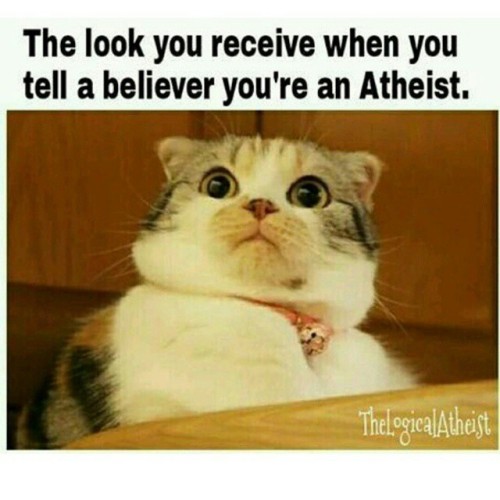 Visit natskep.com - I have received that look a couple of times #atheism #atheist #logic #God