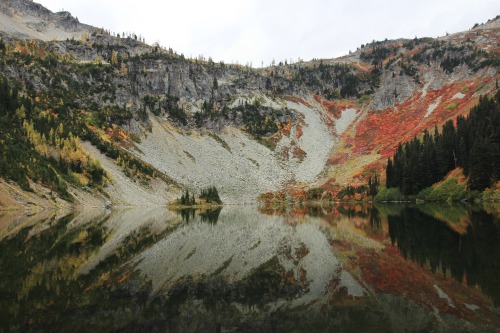 burningmine:Heather-Maple Pass, October 2018