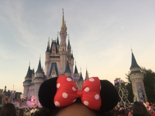 if you care how my trip to Disney World went, it was so fun. i fell in love with Orlando lol.