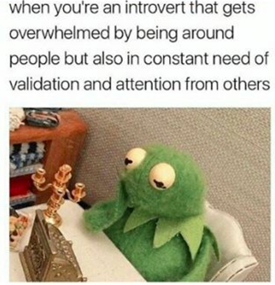 introvertproblems:  Like or Reblog if you can relate to any of These! JOIN THE INTROVERT