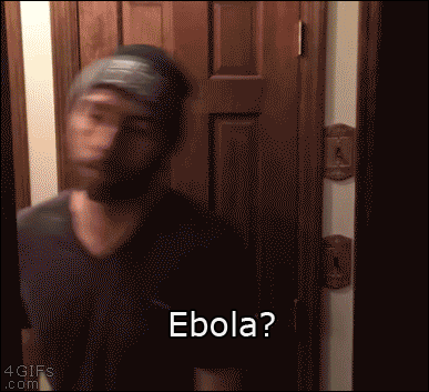 4gifs:  [video]