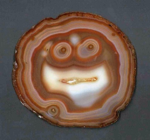 geologypage:Agate “Looks like face” | #Geology #GeologyPage #AgateCredit: Don WindelerG