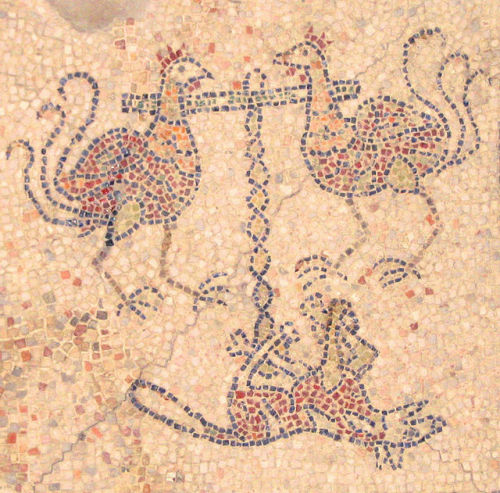 fuckyeahwallpaintings: Floor mosaic fragments of San Giovanni Evangelista, Ravenna, Italy, 1213 Phot