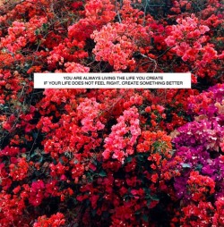 the-personal-quotes:  Are you a teen? This blog is for you!