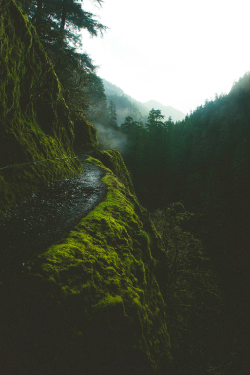 expressions-of-nature:  Eagle Creek Trail,