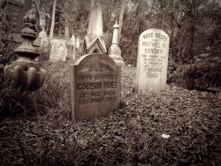 disneyblossom:  Walt Disney World - Magic Kingdom - Haunted Mansion - Graveyard