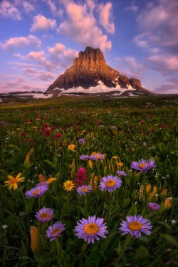 woodendreams:  Logan Pass, Glacier National