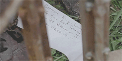 ponderosas:  the walking dead: season 6 + words 