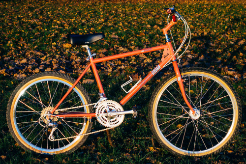 kinkicycle: Greg’s vintage Raliegh “mountain trails” bike.