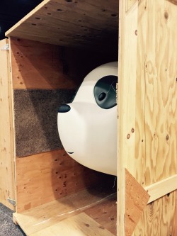 Sneak peek of our We Bare Bears booth at
