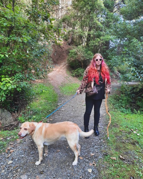 A wander in the woods #bethunesgully #dunedin #dunnerstunner #dunedinnz #nz #newzealand #nature #out