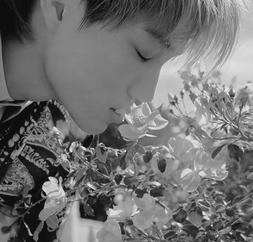 Kaisoo eating flowers X3