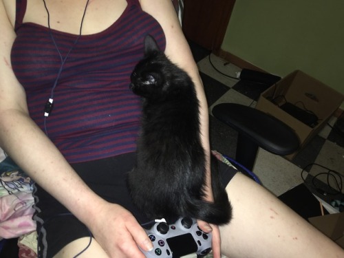 Daigo sleeping on mommy while playing PS4.