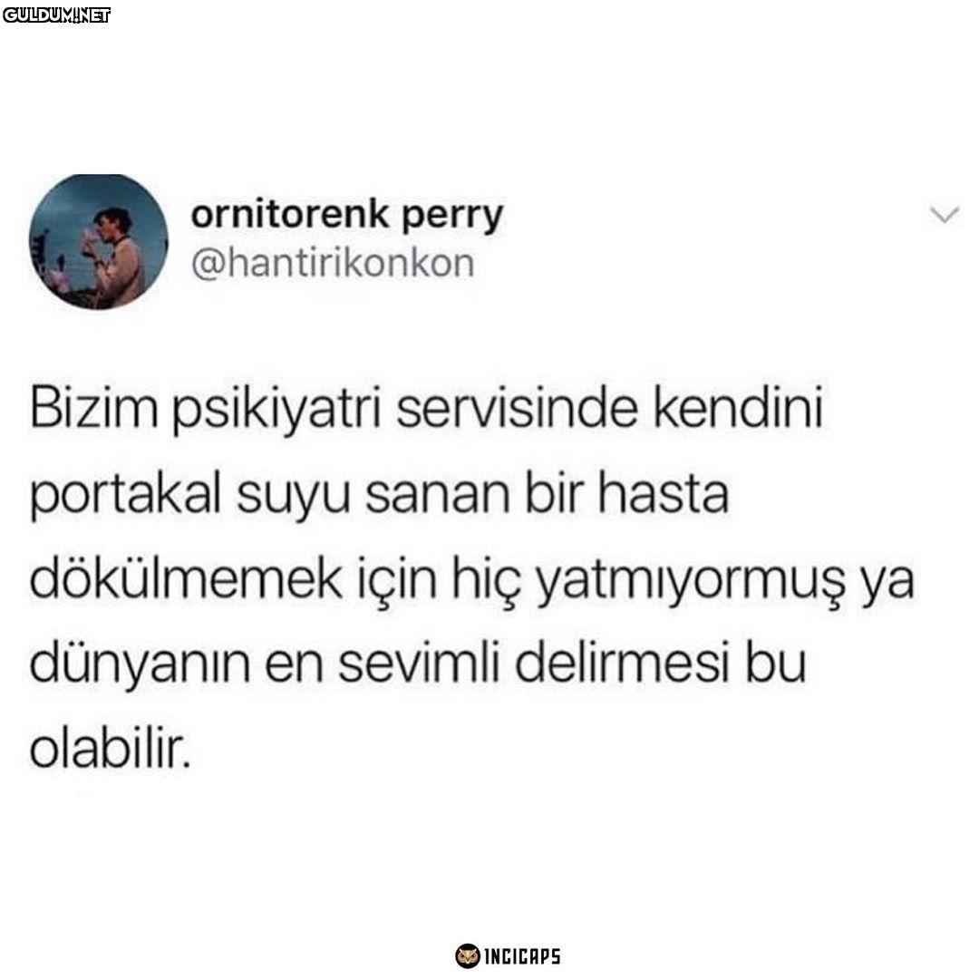 ornitorenk perry...