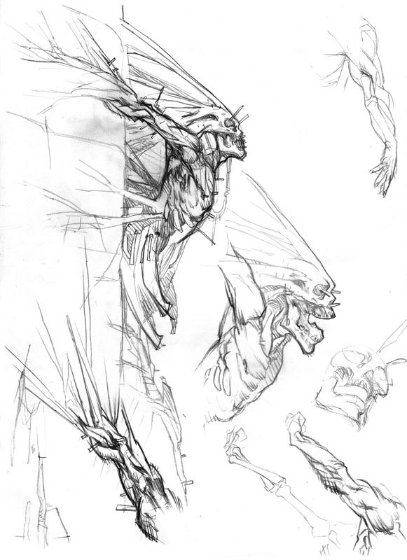azertip:  Mathieu Lauffray         