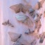 ethereal-plant-muncher