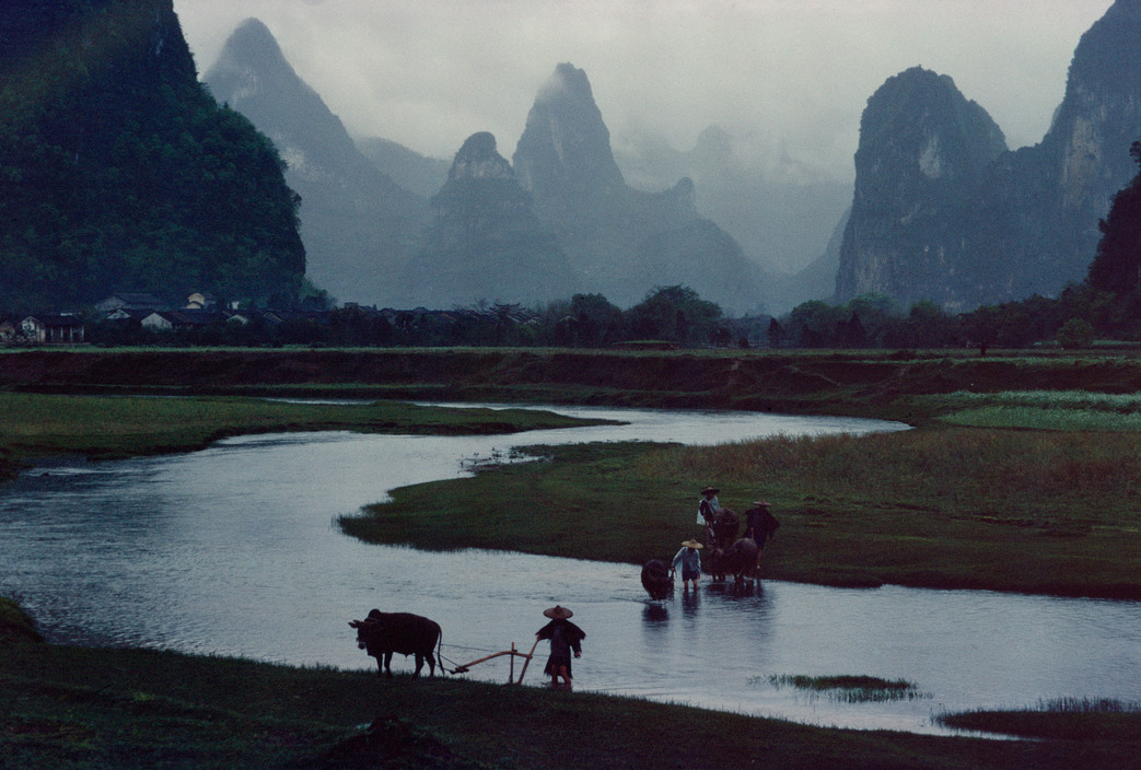thefashioncomplex:Rice paddies, Guilin, China, Bruno Barbey, 1980