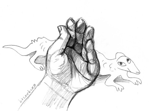 bruneburg: Hand studies.Twitter • YouTube • Insta • Patreon • Comics 