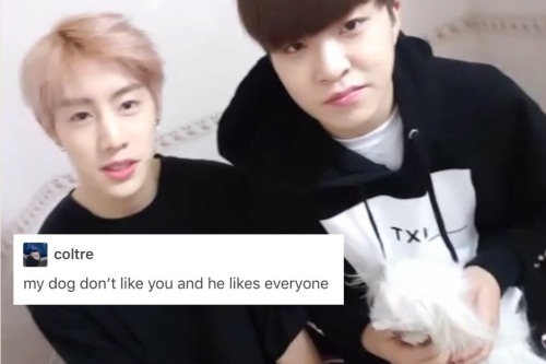 cutepimook: Got7 x Text Posts (once again,,)