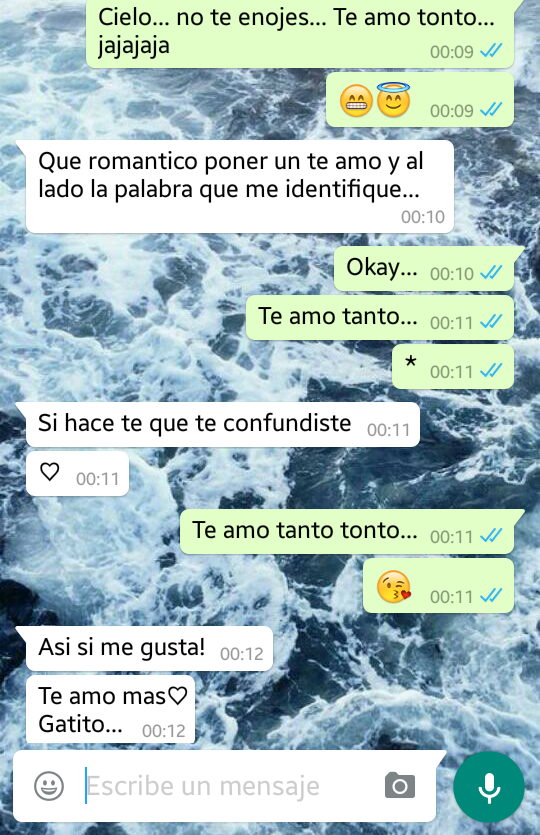 -Tu sólo crees conocerme...