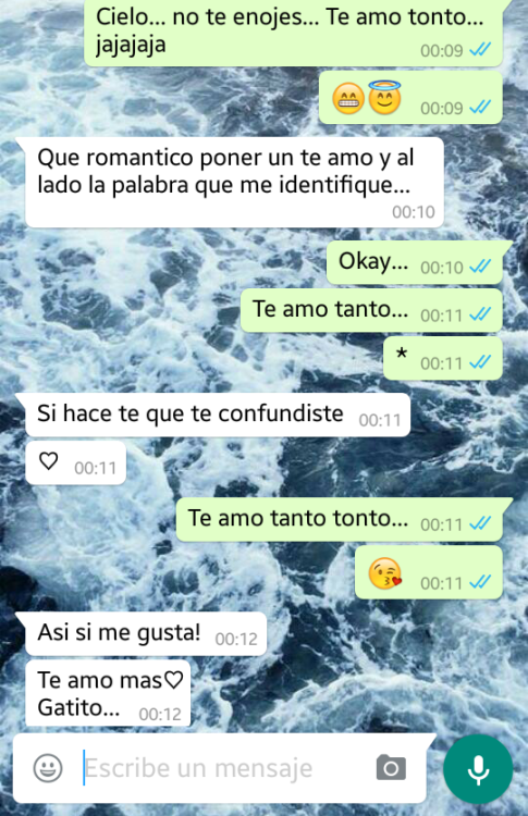 -Tu sólo crees conocerme...