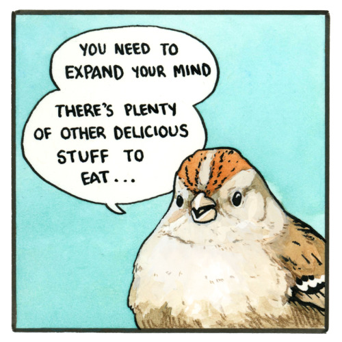 falseknees:HMRG