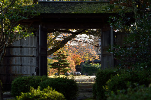 越前陶芸村の紅葉