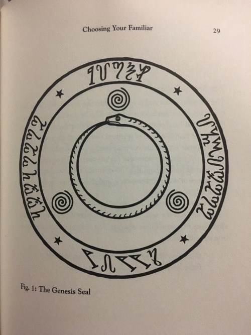 the-darkest-of-lights: The Genesis SealThe purpose of The Genesis Seal is to create a magical link