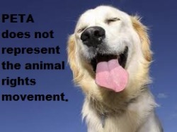 pastel-llama:  xthegirlwithkaleidoscopeeyesx:  Just some friendly animals telling you a few truths.  Fuck PETA  