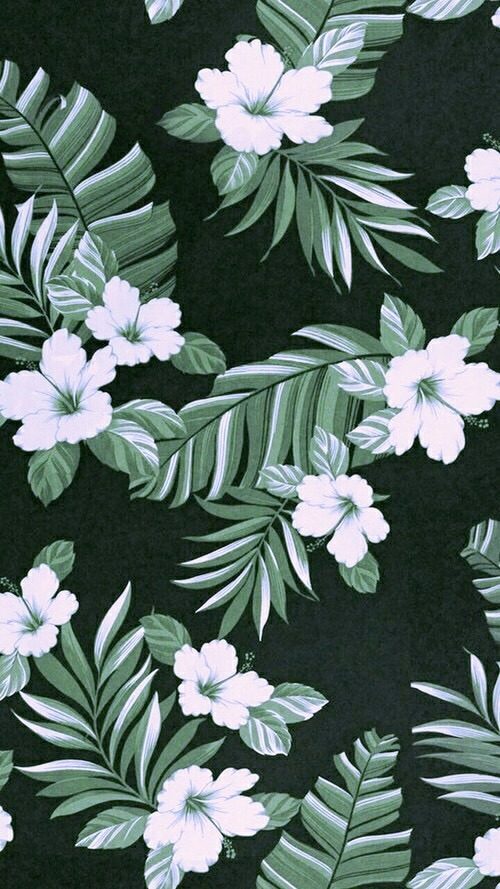 widit:  Tulip &amp; Roses // Requested  I DON’T OWN OR TAKE ANY CREDIT FOR