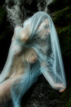 kjstiles:  ‘And She Becomes’ with Melantha Cassytha…by Kevin Stiles. (please keep all credits intact when reblogging). 
