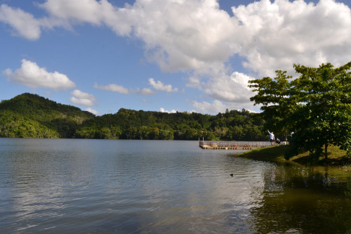 Lago La Plata, Toa Alta, Puerto Rico.