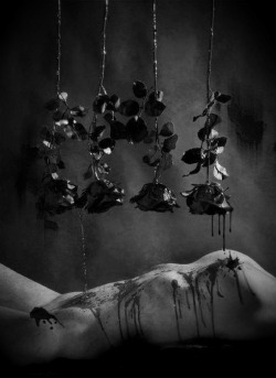 slobbering:  Inspired by Salvador Dali’s “Bleeding Roses”? 