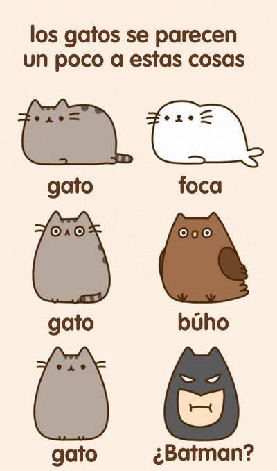 Cats look a little bit like&hellip;is.gd/Cat_Spanish