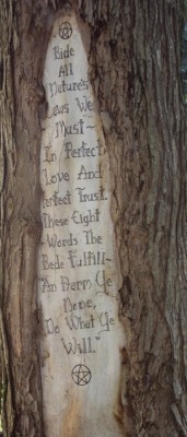 witch-things:  glitterywitch:  mystickarma:  Do What Ye Will.  stop writing on trees that’s not nice. nature’s new law is stop writing on trees.?  And how is it “nature’s law” to harm none? Have you seen fuckin’ nature? Nature harms and kills,