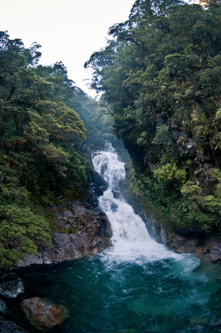 lanatura:  Road to Milford Sound (by Mathieu Chardonnet) 