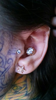 shannakeyes:  BVLA crown setting in my conch