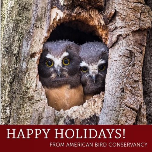 From our home to yours, we’re sending best wishes for a joyful holiday season. As the year ends, it&