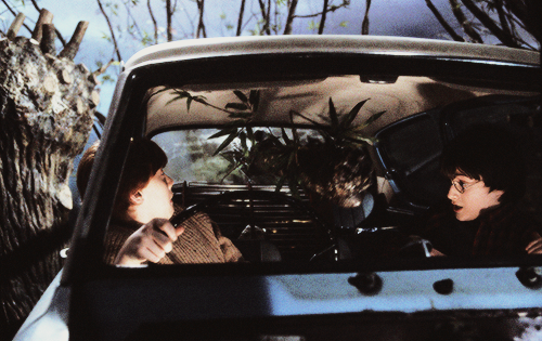 knockturnallley:“Ron gasped, staring through the windshield, and Harry looked around just in t