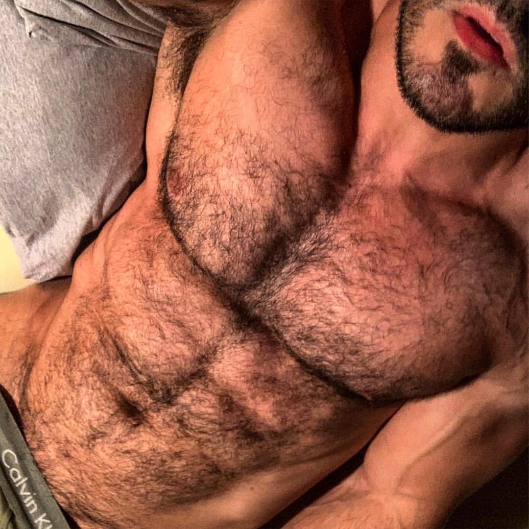beardburnme2: Pedrao_gyn instagram   Pits, pecs and fur.