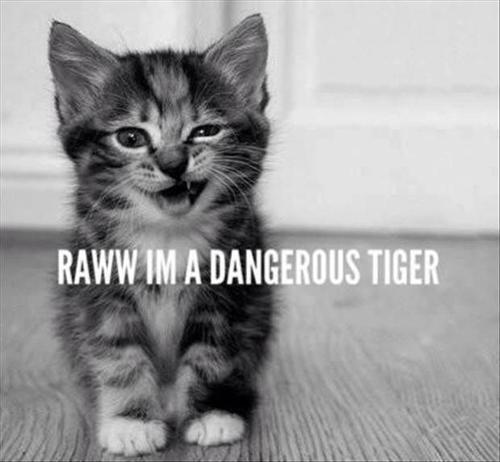 raina-aintbasic:  Just had to reblog lol