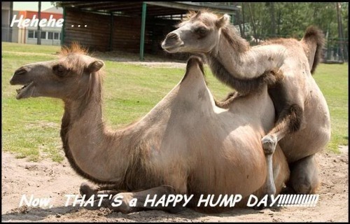 Omg hahaha