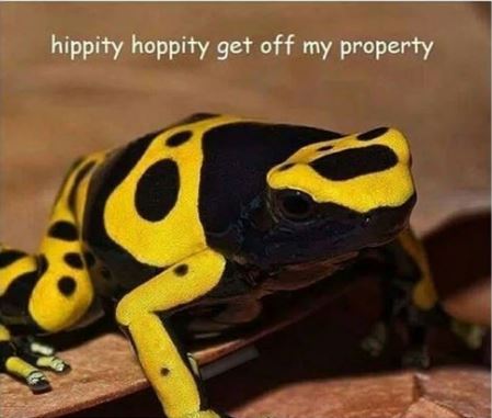 when you push other people off cliffs as Lucio