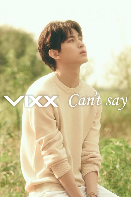 allaboutmykpop:  VIXX 2nd Japanese Single – Can’t Say Teasercredit- VIXX Japan 