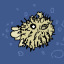 tetradontid