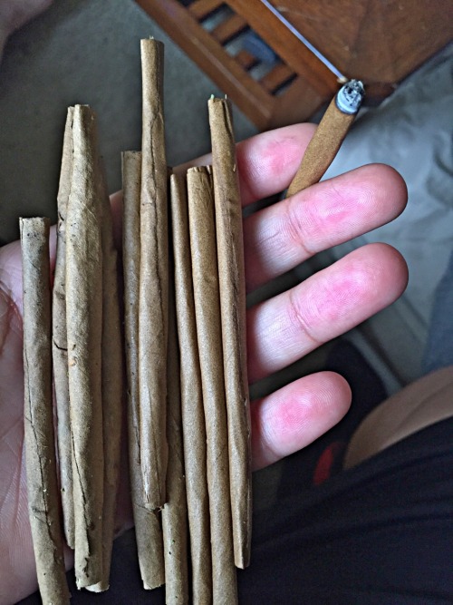 tokesx:  Bluntz