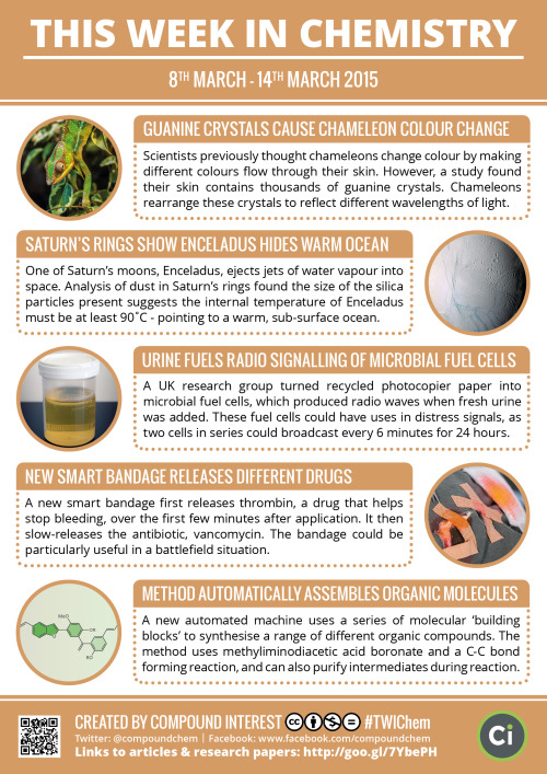 Porn compoundchem:  This Week in Chemistry: chameleon photos